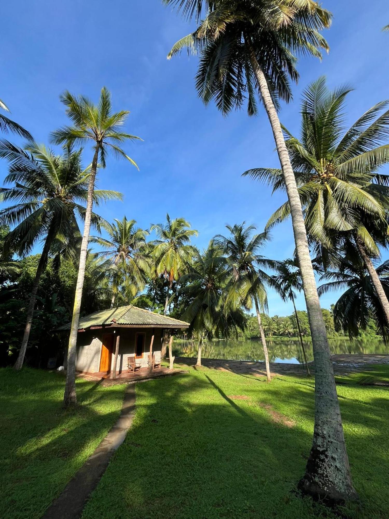 Yonan River Face Safari Resort Udawalawe Ngoại thất bức ảnh